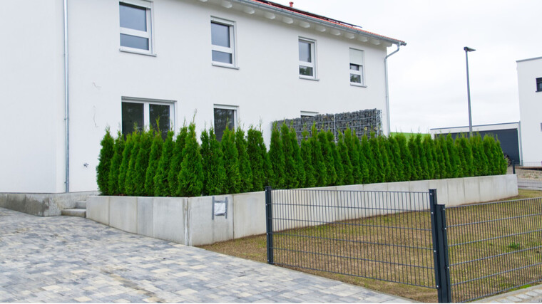 Pünktlich…